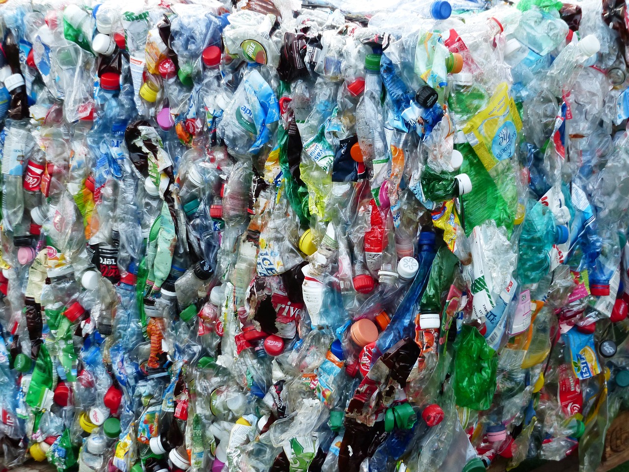 Roślinne fabryki: czy to przyszłość recyklingu?