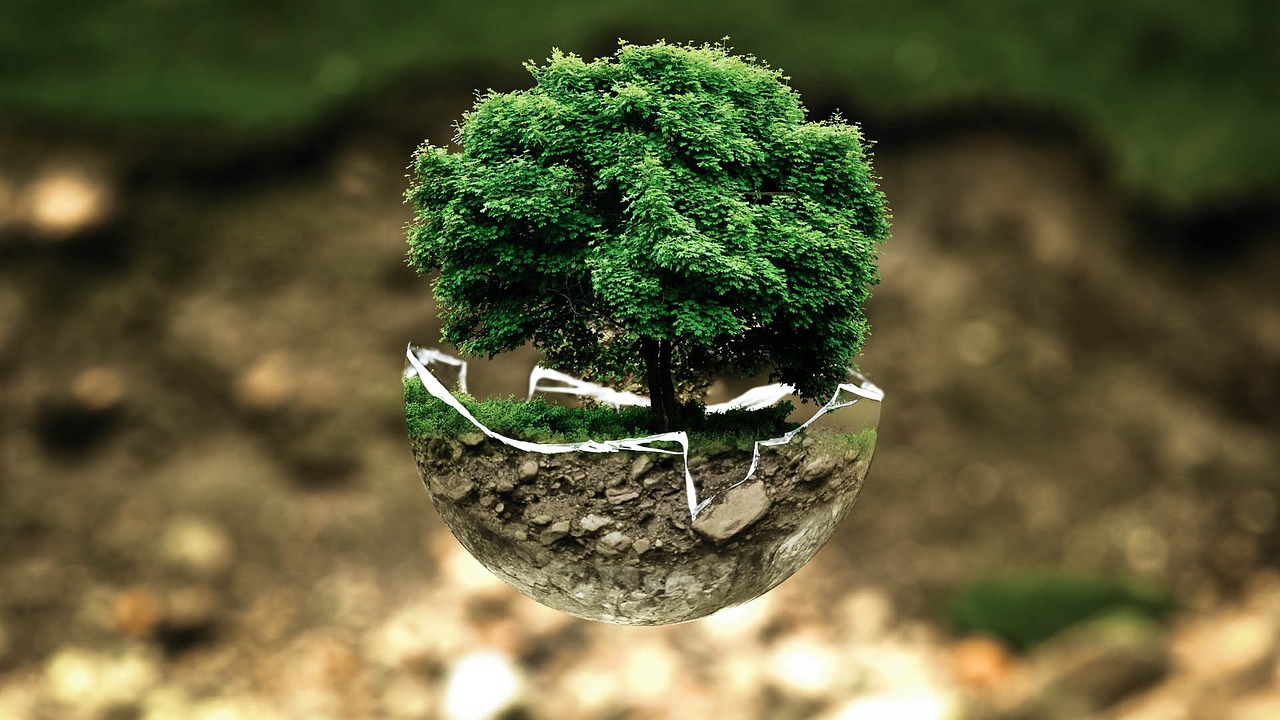 Recykling papieru: jak zmniejszyć wycinanie drzew?