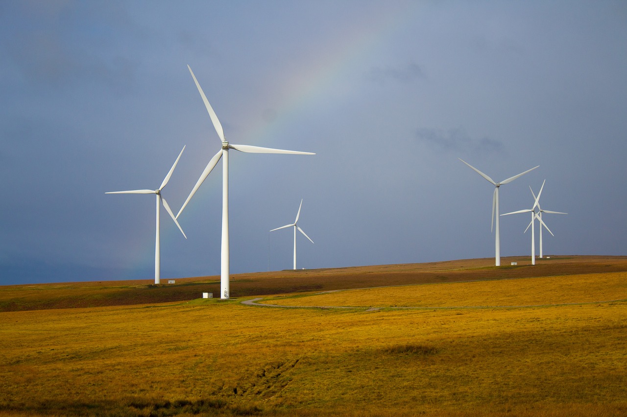 Projekt ekologicznej farmy wiatrowej w Rzepinie